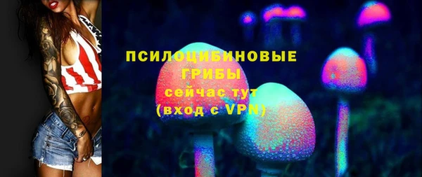 мдпв Россошь