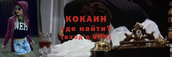 сатива Рославль