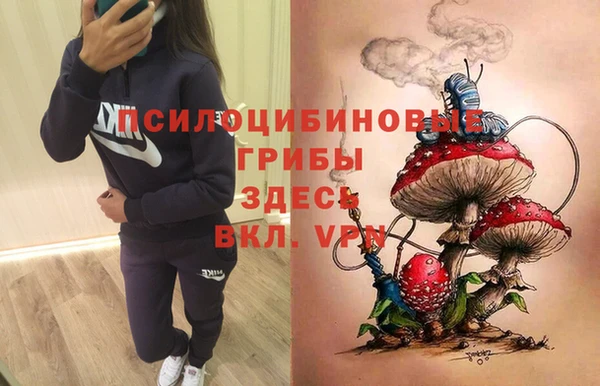 сатива Рославль