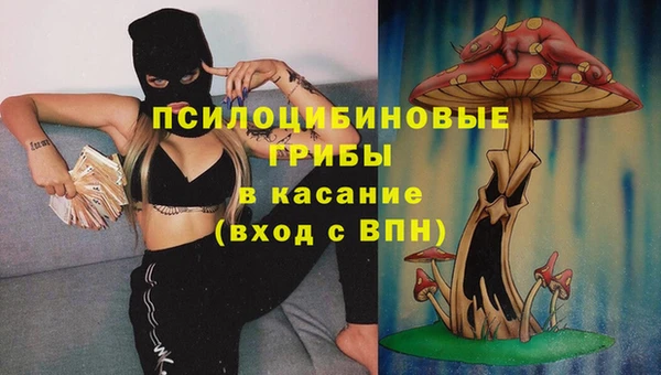 сатива Рославль