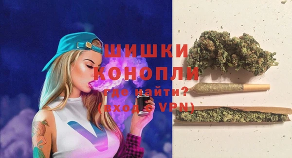 сатива Рославль