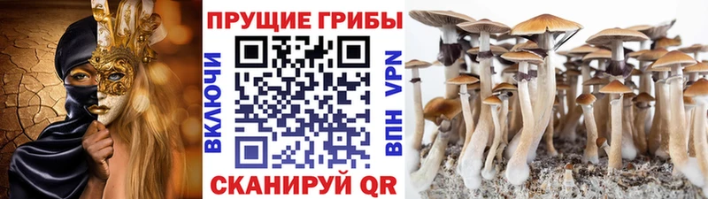 сайты даркнета какой сайт  Орск  blacksprut как войти  Галлюциногенные грибы прущие грибы  закладки 