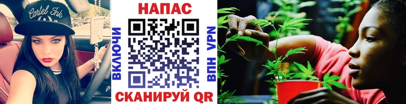 darknet какой сайт  купить наркотики сайты  Орск  Бошки марихуана сатива 